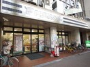 フレスコミニ　河原町今出川店(スーパー)まで240m コスモハイツ出町