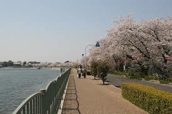 久米田池(公園)まで160m ｼﾃｨﾊｲﾑなかじま