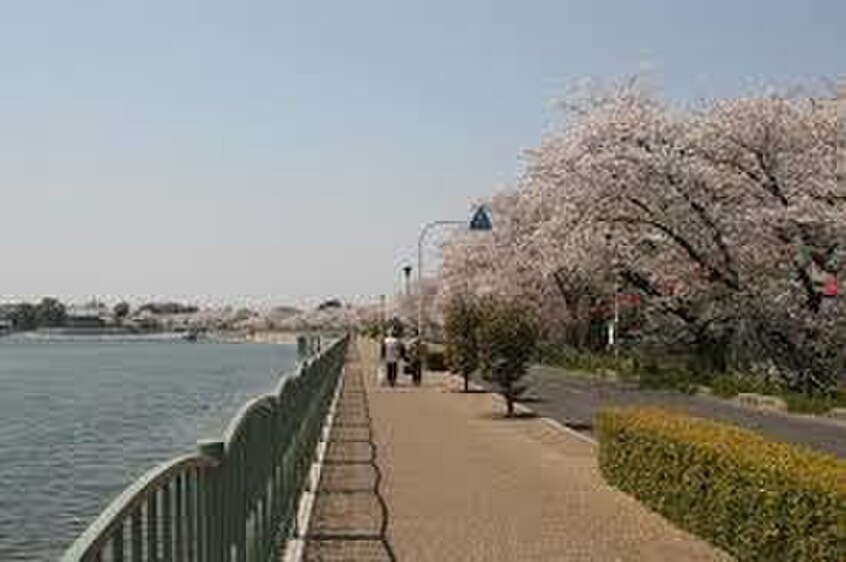 久米田池(公園)まで160m ｼﾃｨﾊｲﾑなかじま