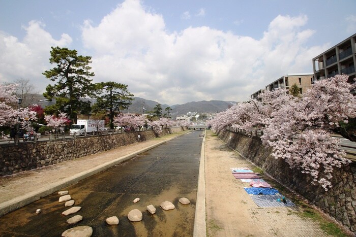 芦屋川公園(公園)まで1000m オプティマ三条