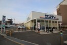 サンディ(スーパー)まで1000m クリエオーレ南新町