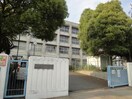 江井島中学校(中学校/中等教育学校)まで521m ﾗｲｵﾝｽﾞﾏﾝｼｮﾝ明石西江井ヶ島(102)