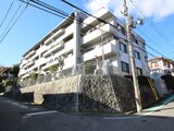 アビタコシキイワ