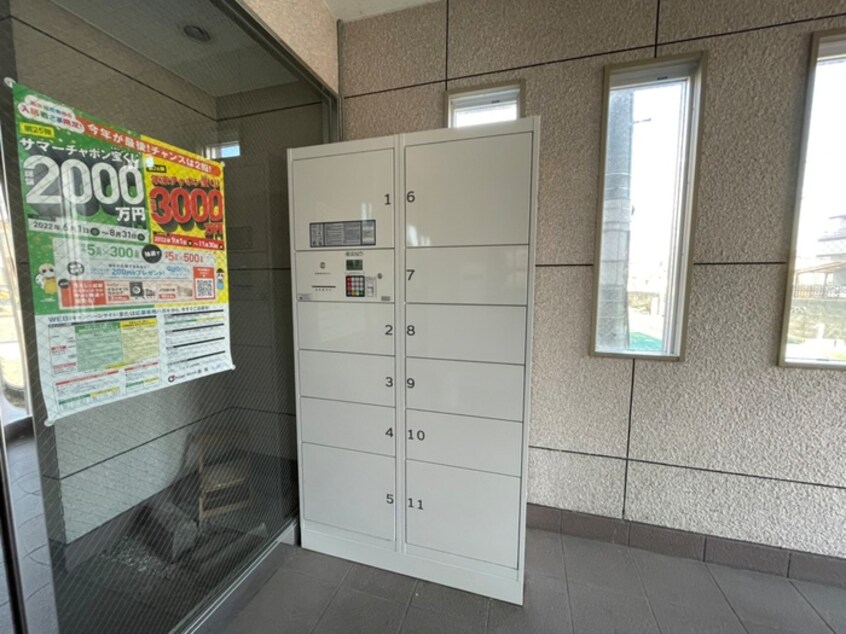 その他 エクセレント秋桜