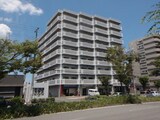 モアライフ