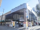 グルメシティ(スーパー)まで1300m セレ－ノ塔南