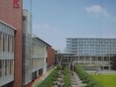 立命館大学(大学/短大/専門学校)まで600m フォルシア　エム