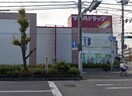 ツルハドラッグ(ドラッグストア)まで230m セレーノ南甲子園