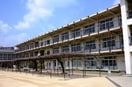 南甲子園小学校(小学校)まで200m セレーノ南甲子園