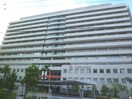 赤十字病院(病院)まで350m 舟橋レジデンス
