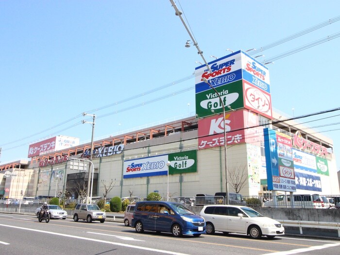 ジャガータウン(電気量販店/ホームセンター)まで1000m LUCITA大日