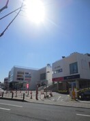 ベアーズ大日店(ショッピングセンター/アウトレットモール)まで1100m LUCITA大日