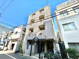 ライト・サン・リバイタル