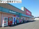 キリン堂(ドラッグストア)まで790m ラムール・ファミリアルＢ