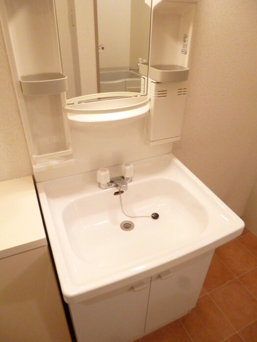 洗面 メゾンドプチシャン