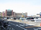 周辺環境 メゾンドプチシャン