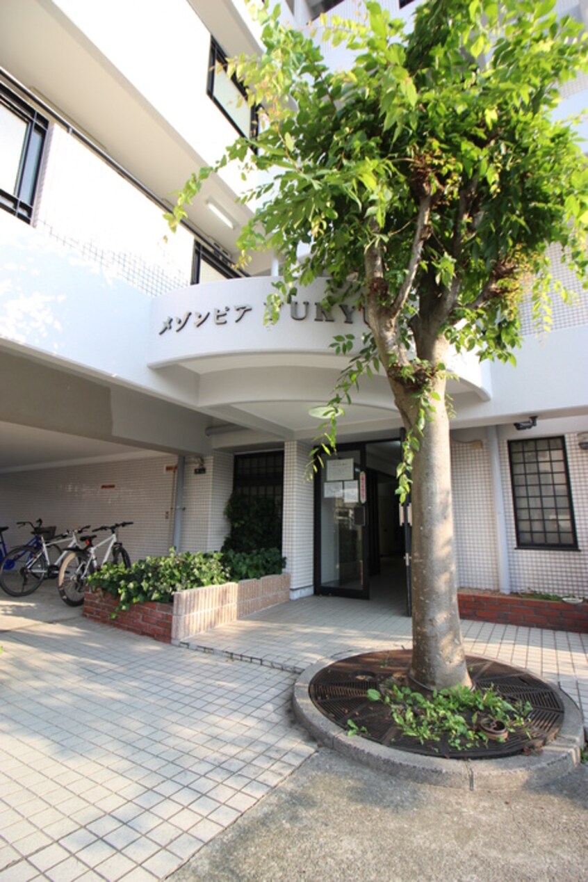 エントランス部分 メゾンピアYUKYU