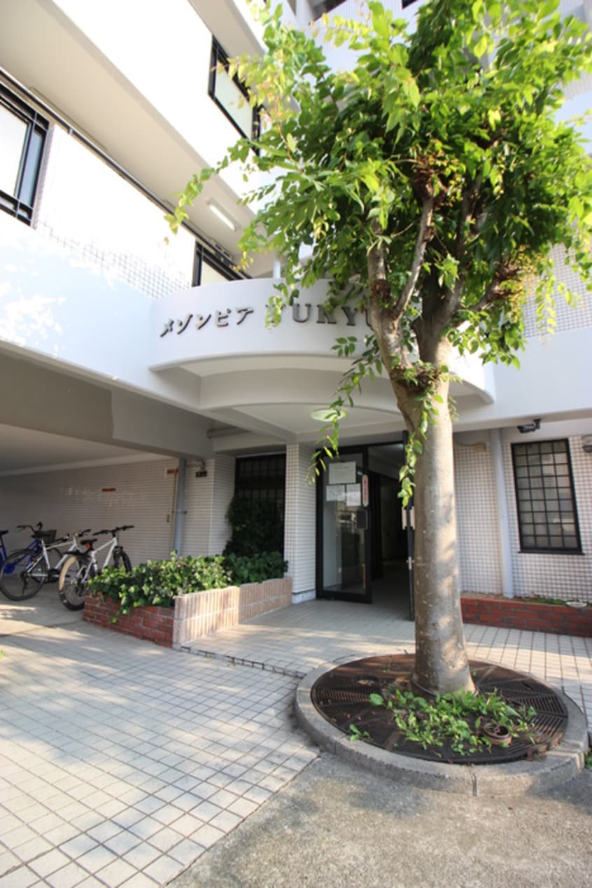 エントランス部分 メゾンピアYUKYU