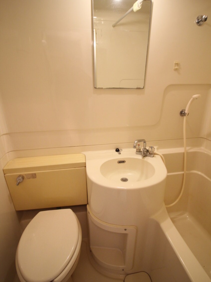 洗面 カーサカトレア