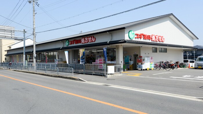 スギ薬局上桂店(ドラッグストア)まで450m 立志館