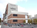 大阪産業大学(大学/短大/専門学校)まで1190m グレ－スコ－ト INUI