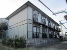 その他 フォレストオオトリ