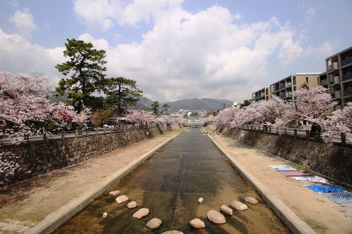 芦屋川公園(公園)まで100m ザ・パークハウス芦屋川(202)