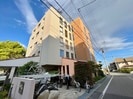 C&Cﾛｰｽﾞｶﾞｰﾃﾞﾝの外観