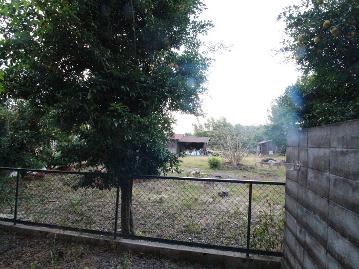 室内からの展望 シャトー竹宇