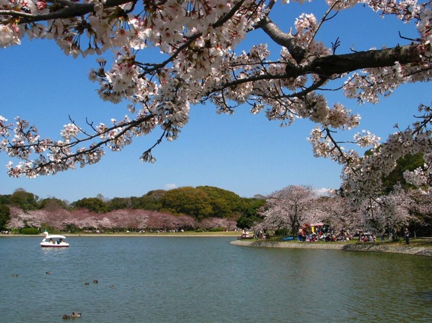 明石公園(公園)まで820m ウィステリア明石Ⅱ