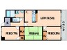 アメニティーＲＩＴＴＯ 3LDKの間取り