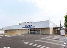サンディ(スーパー)まで290m TKアンバーコート津久野