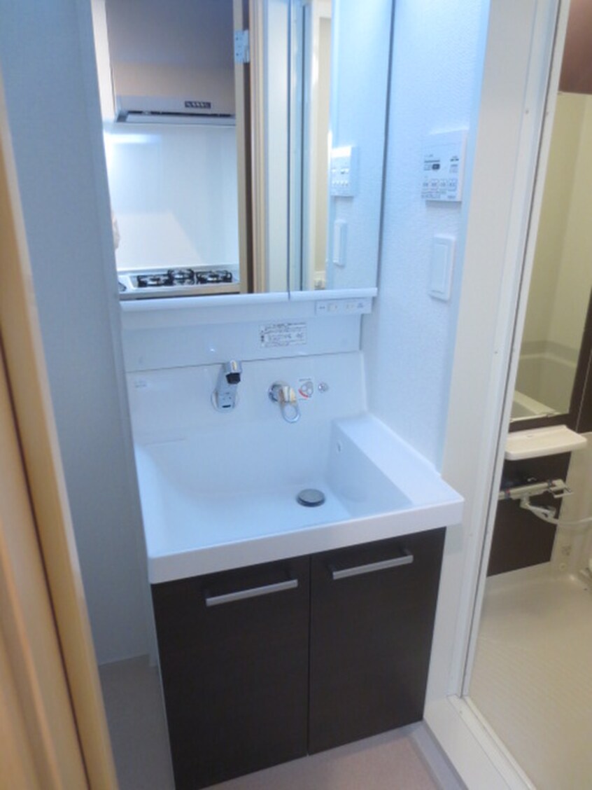 洗面 チェルナ　コシュカ