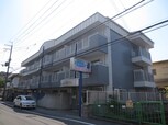 アムズ　コート