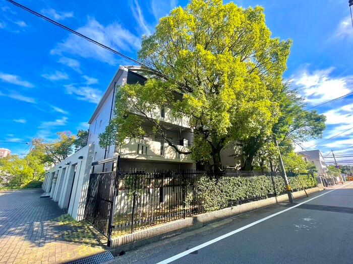 外観写真 芦屋パティオ