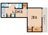 タカラハイツ 1LDKの間取り