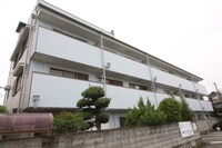 楠風