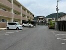 駐車場 ピュアスイ－ト