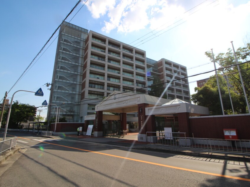 私立摂南大学(大学/短大/専門学校)まで660m 南ハイツ１号棟