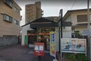 香櫨園郵便局(郵便局)まで230m ロイヤルメゾン香枦園