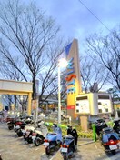 ジャスコ(スーパー)まで367m メゾン田中－野田