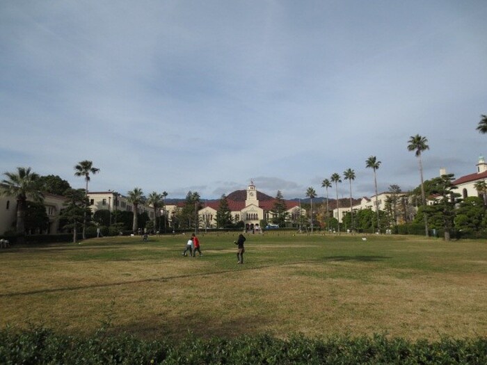 関西学院大学(大学/短大/専門学校)まで1100m 瑠璃甲東園