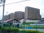 ｴﾊﾞ-ﾗﾝﾄﾞｼﾃｨ新・泉北六番館(1106