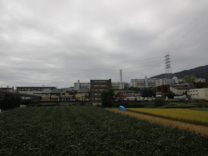 室内からの展望 第２６長栄センチュリーハイツ