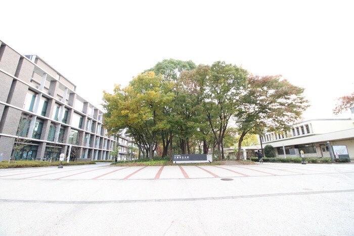 大阪市立大学(大学/短大/専門学校)まで150m パ－クハイツ１１