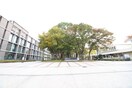 大阪市立大学(大学/短大/専門学校)まで150m パ－クハイツ１１