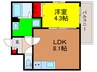 仮)ALEGRIA枚方South 1LDKの間取り