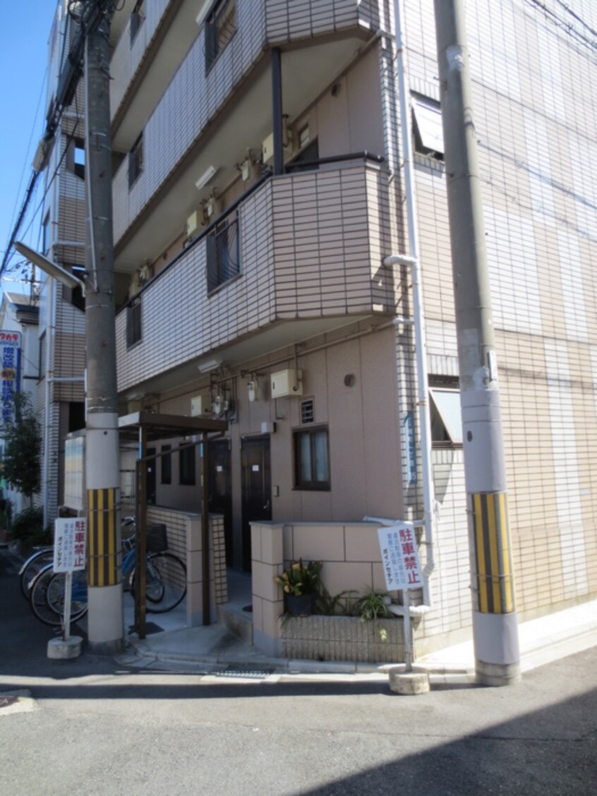 その他 ポインセチア