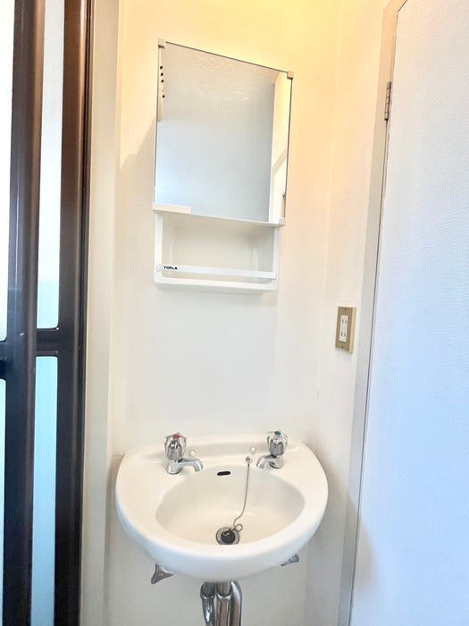 洗面 ポインセチア