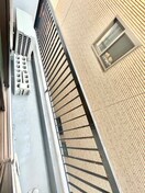 ベランダ・バルコニー ポインセチア